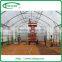 Economical tunnel greenhouse for vegetable