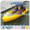 Amusement Park Rides Boat