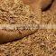 new stock Barley for Animal Feed ready for export