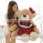 cute soft plush teddy bear
