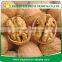 Best Quality Walnut Kernels Light Havles for Sales