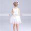 OEM Service Fairy Girl Puffy Embroidery Design Kids Clothes Girl Dress