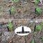 Bubbler Dripper Drip Irrigation System Set