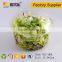 Eco Friendly PET disposable plastic vegetable and fruit salad packaging