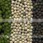 black and white pepper