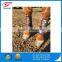 Wholesale print star neoprene horse boots