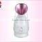 2015 hot sale personal home sue portable face steamer