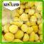 top quality chinese frozen chestnuts kernel