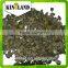 Hot sale GWS (AA) with best price and high quality from China