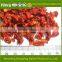 Best quality of Sweet Dried tomato/New product of pure chinese delicious dried tomato