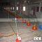 automatic auger poultry broiler feeding system