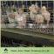 galvanized metal mesh brolier chicken cage