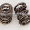 brake spring for car