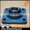 Varieties of high quality and high precision Pillow Block Bearing UCP305