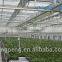 Multi Span Polycarbonate Sheet Greenhouse