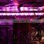 MarsHydro 23W/46W/96W Full spectrum LED Grow Light Grow Led Panel Waterproof Plant Indoor Garden Hanging Grow Bar 120cm 60cm