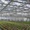 Hydroponic Growing Greenhouse
