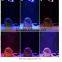 High quality 10W led clip grow light hydroponict are hot-selling for factory buttom price in 2017