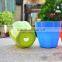 Wholesale plastic flower pots /garden creative pot / plastic flower pot decoration