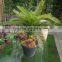Artificial desk pot bonsais