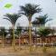 GNW APM028 Best Quality 20ft High Coconut Palm Tree For Park Outdoor Use