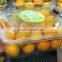 Disposable packaging ;Vegetable box ;Fruit dish