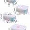Retangle Food grade plastic fresh keeping box