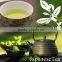 Premium and High quality matcha green tea with Flavorful made in Japan