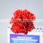 flower Type natural fresh cut flowers carnations price to workmates