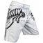 Make Your Own Mma Shorts Wholesale