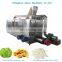 Professional Manufacturer Supply Mesh Net Herb Drying Machine/Tunnels Nets Belt Dryer for Fruits and Vegetables