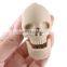 Amazing Halloween Gifts 1GB Skull Usb Flash Memory Stick Usb 2.0