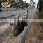 Top sale solid security chain link zoo fencing, fence for the zoo