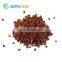 High quality edible natural pigment grape seed extract powder (95% opc)