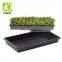 Heavy Duty Seeds Germination and Vegetable Nursery Seed Starter Trays with Water Drainage Holes