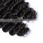 Extension Natrual Hair Indian Human Indian Water Wave Hair Supplier's Choice