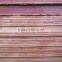 Macedonia market film faced plywood