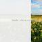 Diamond Frosted Glass Window Film Sticker Cover Adhesive