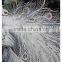 Beautiful peacoke wall hanging, home decoration