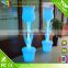 Festival Gifts Beautiful Plastic LED Glow Flowers for Paty Decoration