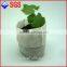 spunbonded nonwoven fabric for mulching