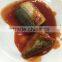 425g Canned mackerel/Jack Mackerel in tomato sauce