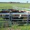 Cheap cattle panel and livestock gate (ISO9001)