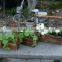 garden flower pot