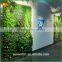 Vertical Green Wall Indoor Decoration Artificial Green Wall