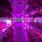 660nm Red 450nm Blue Cob Full Spectrum Led Grow Lights