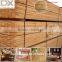 fast wood drying chamber with HF technology