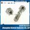 20mm DIN931 M8 stainless steel socket set screw