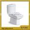 1805 Popular One Piece Sanitare Ware Washdown Floor Mounted wc Toilet