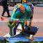 My Dino-C042 Colored fiberglass cow model for sale
